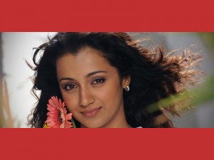 trisha-krishnan-hot-sexy.