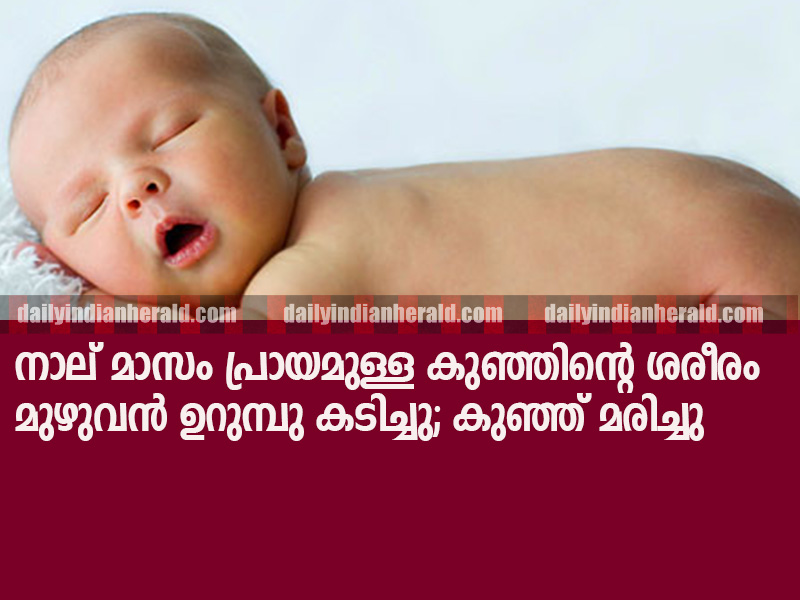 istock_photo_of_sleeping_newborn
