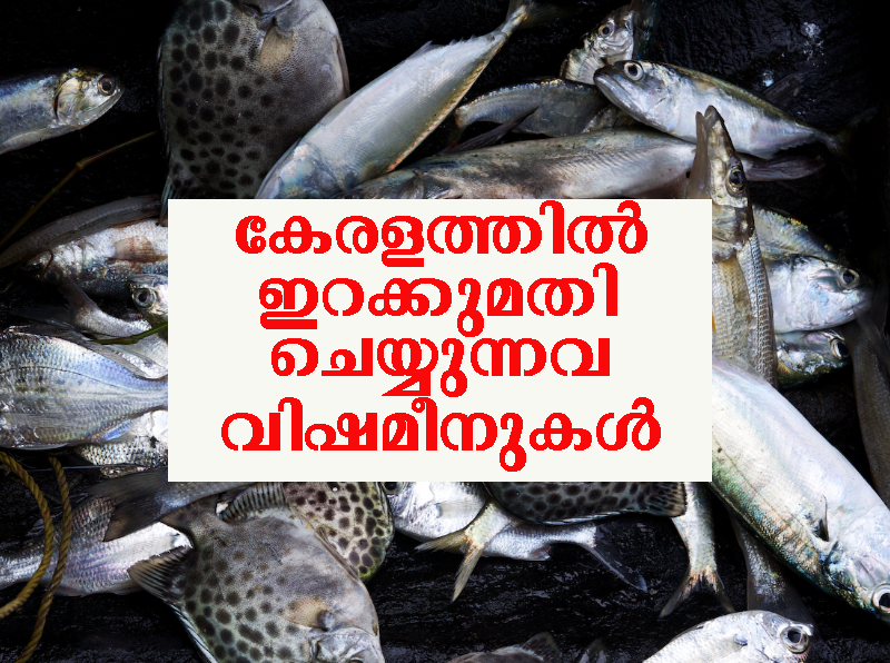 fish-kerala