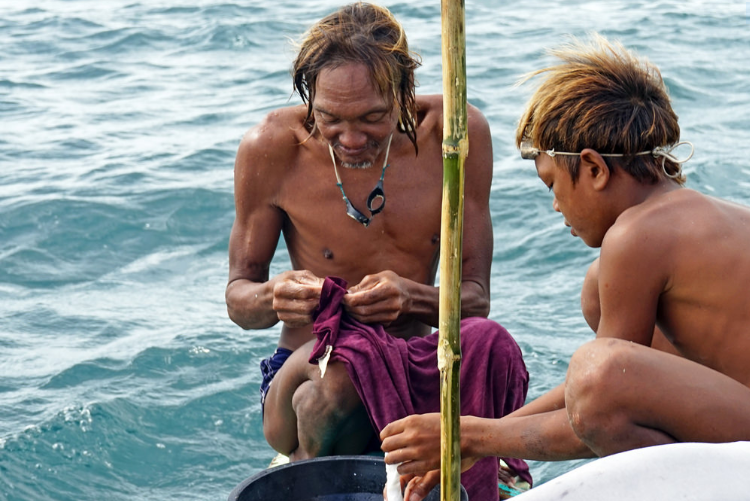 bajau fili