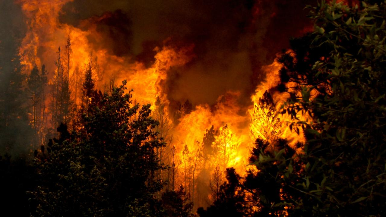 Природные чс 2023. ЧС пожар. ЧС Лесные пожары. Чрезвычайные ситуации пожары в лесу. Пожар на природе.